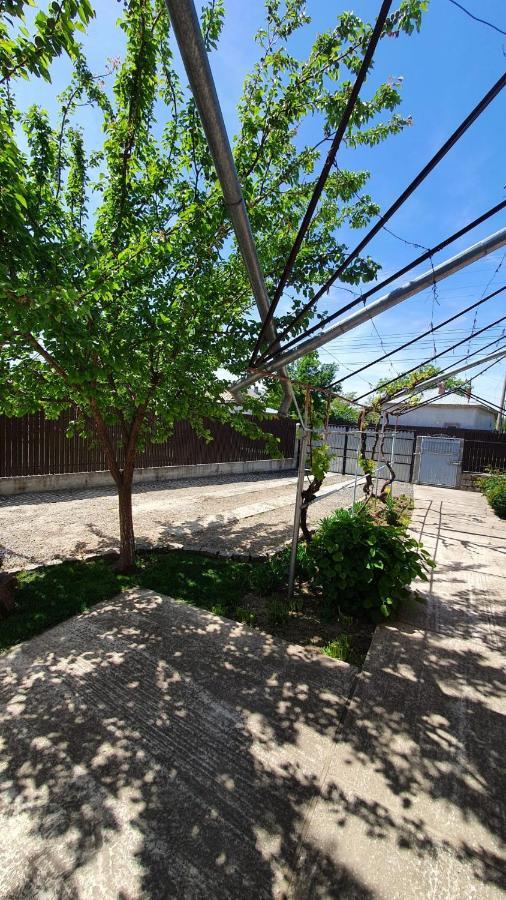 Casa Caraua Βίλα Greci Εξωτερικό φωτογραφία